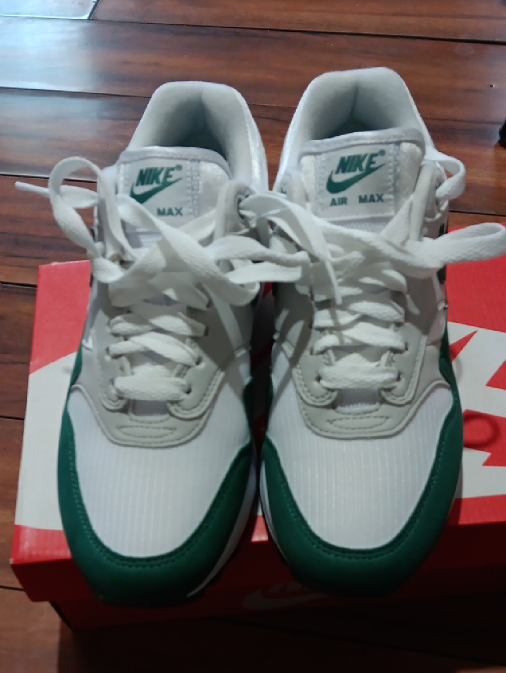 NIKE AIR MAX 1 ANNIVERSARY EVERGREEN